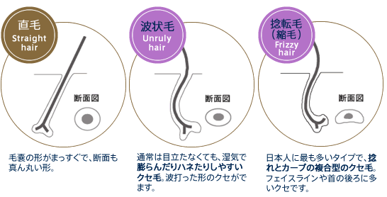 美容師が教える くせ毛用おすすめメンズシャンプーランキングtop10