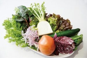 野菜のイメージ画像