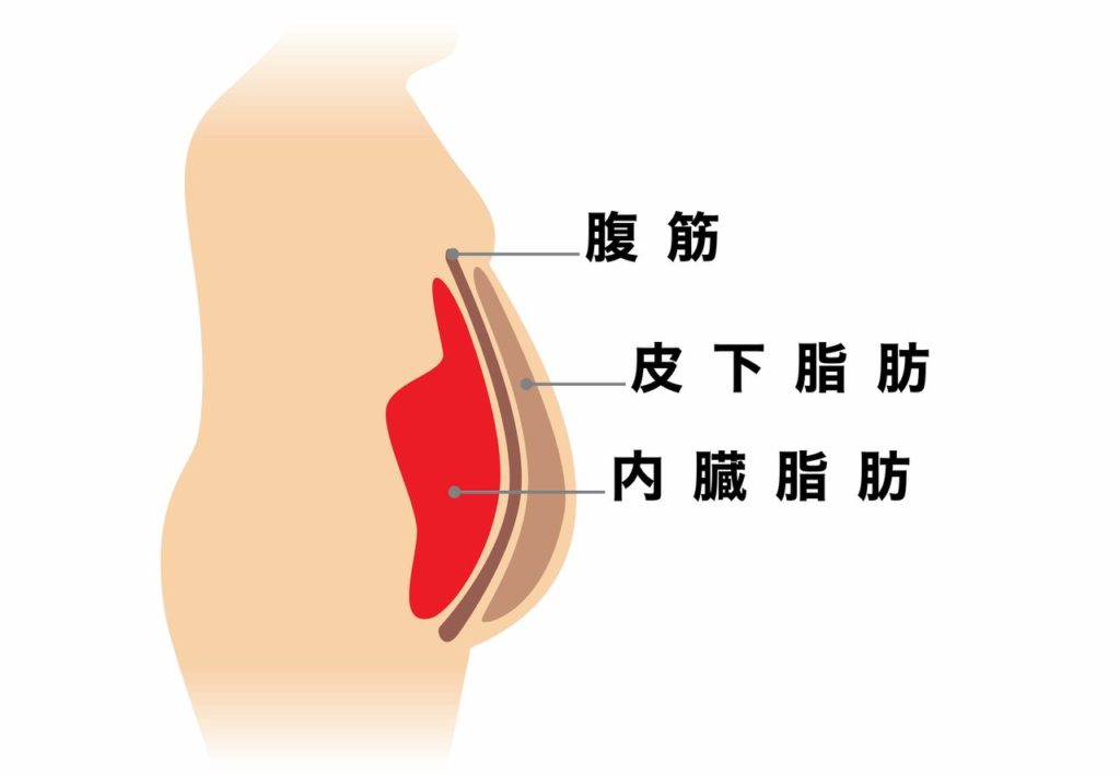 内臓脂肪の落とし方10選 内臓脂肪が落ちない理由は 専門家監修